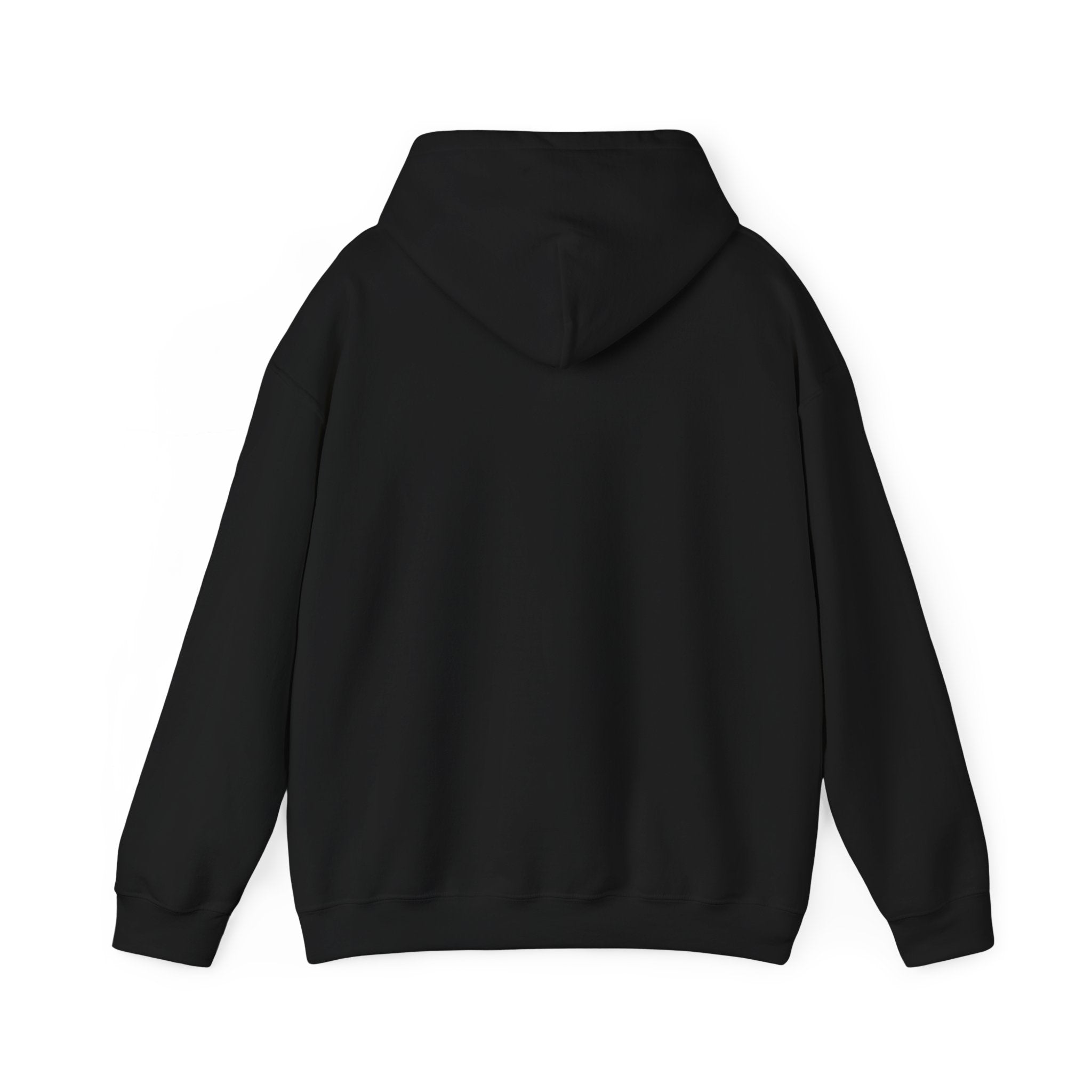 Currently Offline Unisex Heavy Blend Hoodie, Cozy Sweatshirt Gift, Casual Loungewear, Relaxed Fashion, Streetwear, Relaxation Apparel