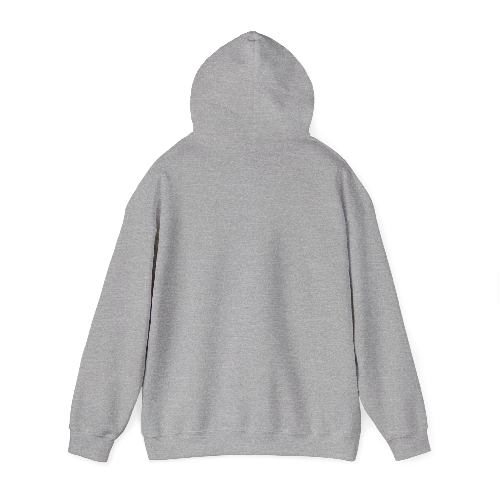 Currently Offline Unisex Heavy Blend Hoodie, Cozy Sweatshirt Gift, Casual Loungewear, Relaxed Fashion, Streetwear, Relaxation Apparel