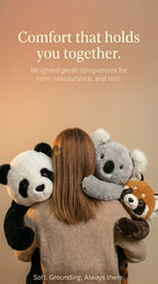 Weighted Bear Koala Dinosaur Plush Toy